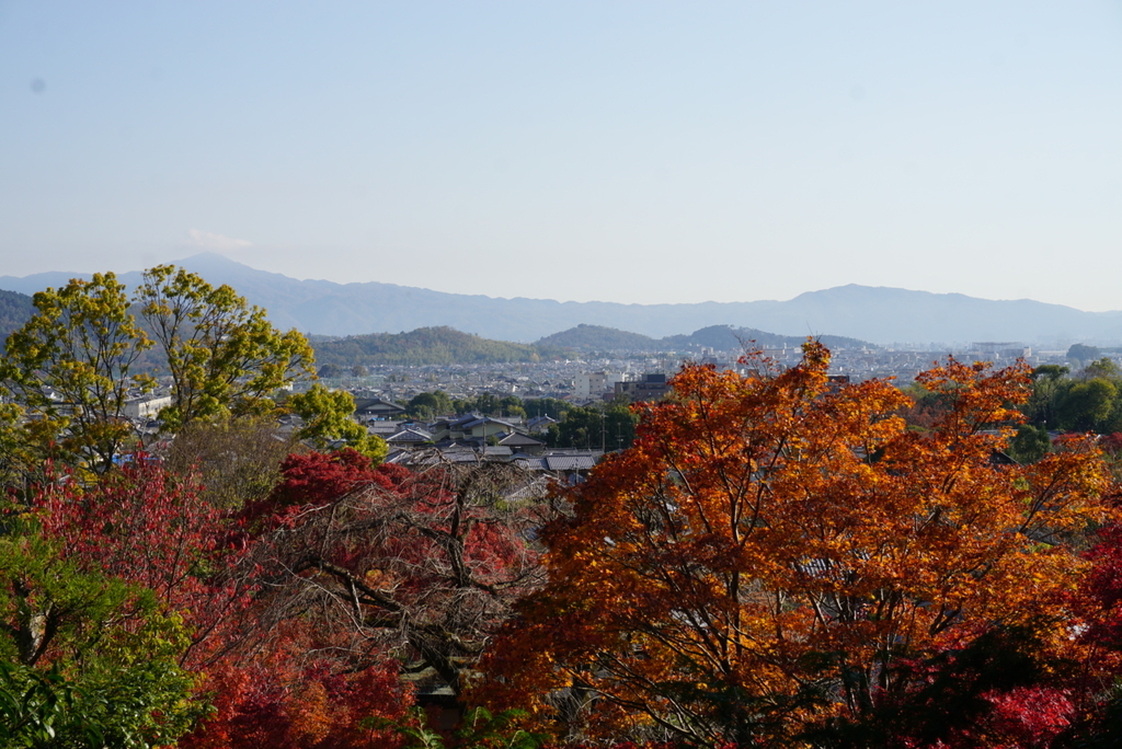f:id:ka-ruojisan:20181130153526j:plain f:id:ka-ruojisan:20181130153526j:plain