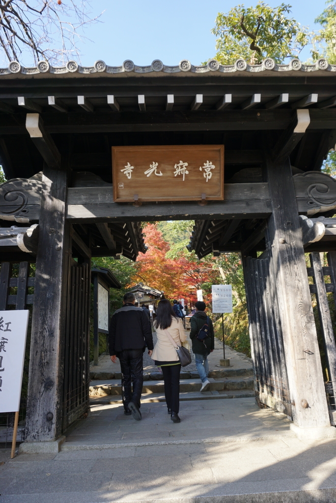 f:id:ka-ruojisan:20181130153735j:plain f:id:ka-ruojisan:20181130153735j:plain