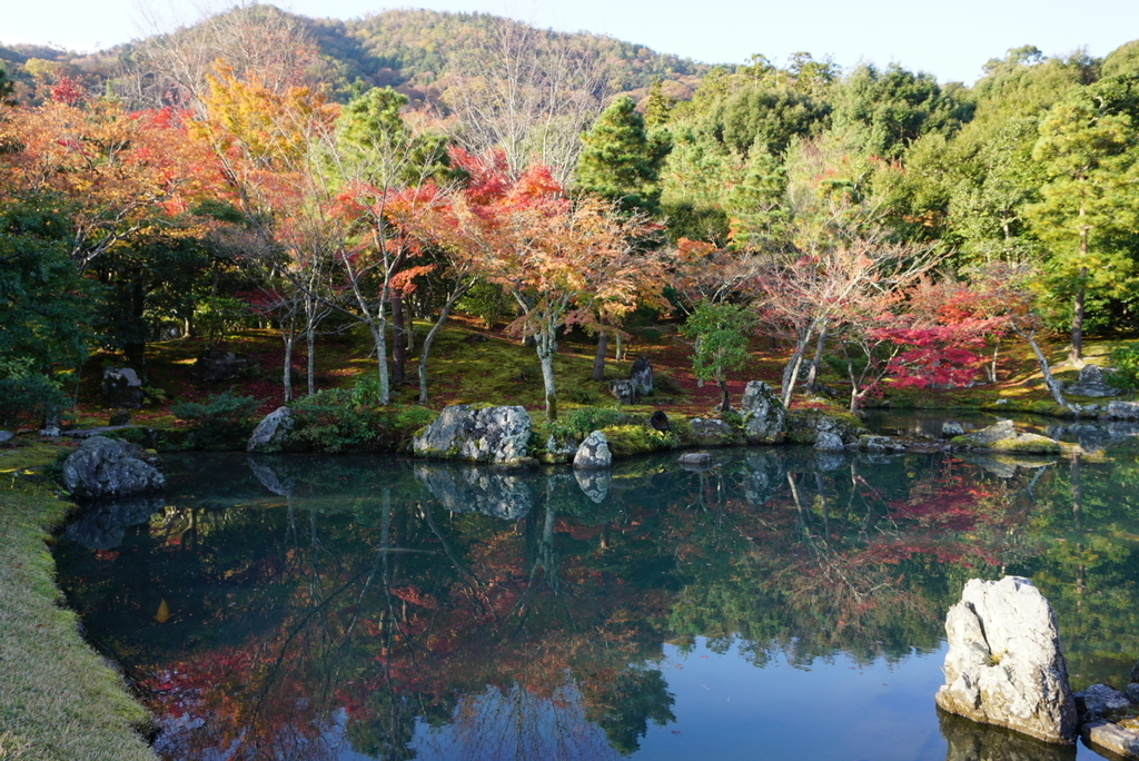 f:id:ka-ruojisan:20181130154424j:plain f:id:ka-ruojisan:20181130154424j:plain