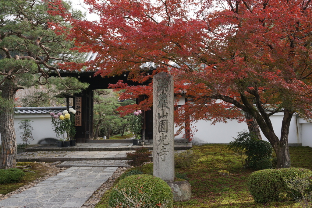 f:id:ka-ruojisan:20181212174849j:plain f:id:ka-ruojisan:20181212174849j:plain