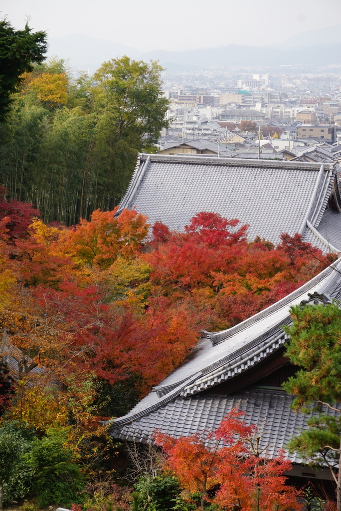 f:id:ka-ruojisan:20181214140108j:plain f:id:ka-ruojisan:20181214140108j:plain