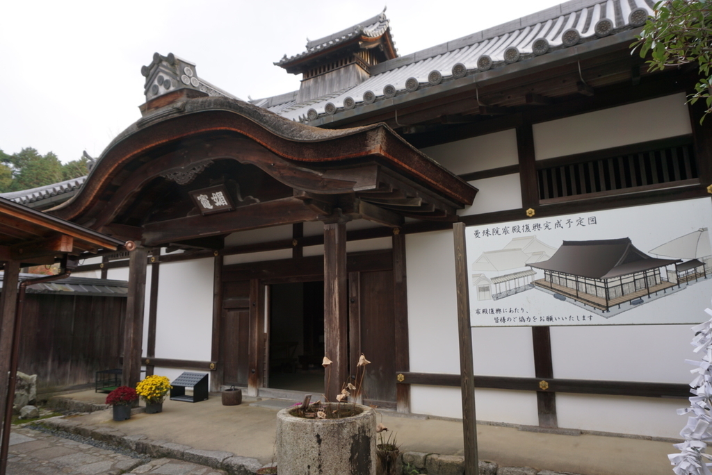 f:id:ka-ruojisan:20181214143547j:plain f:id:ka-ruojisan:20181214143547j:plain