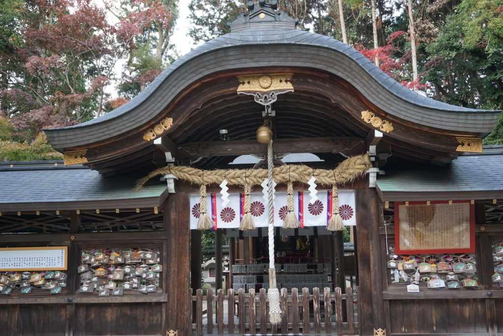 f:id:ka-ruojisan:20181214145618j:plain f:id:ka-ruojisan:20181214145618j:plain