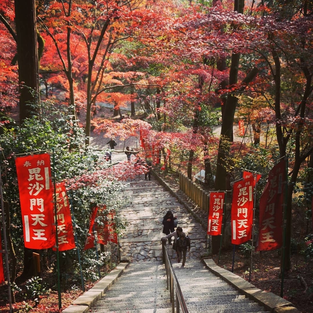 f:id:ka-ruojisan:20181218173854j:plain f:id:ka-ruojisan:20181218173854j:plain