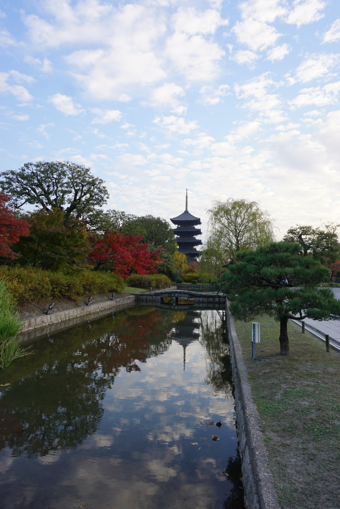 f:id:ka-ruojisan:20181218174553j:plain f:id:ka-ruojisan:20181218174553j:plain