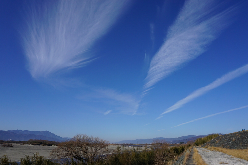 f:id:ka-ruojisan:20190121215131j:plain f:id:ka-ruojisan:20190121215131j:plain