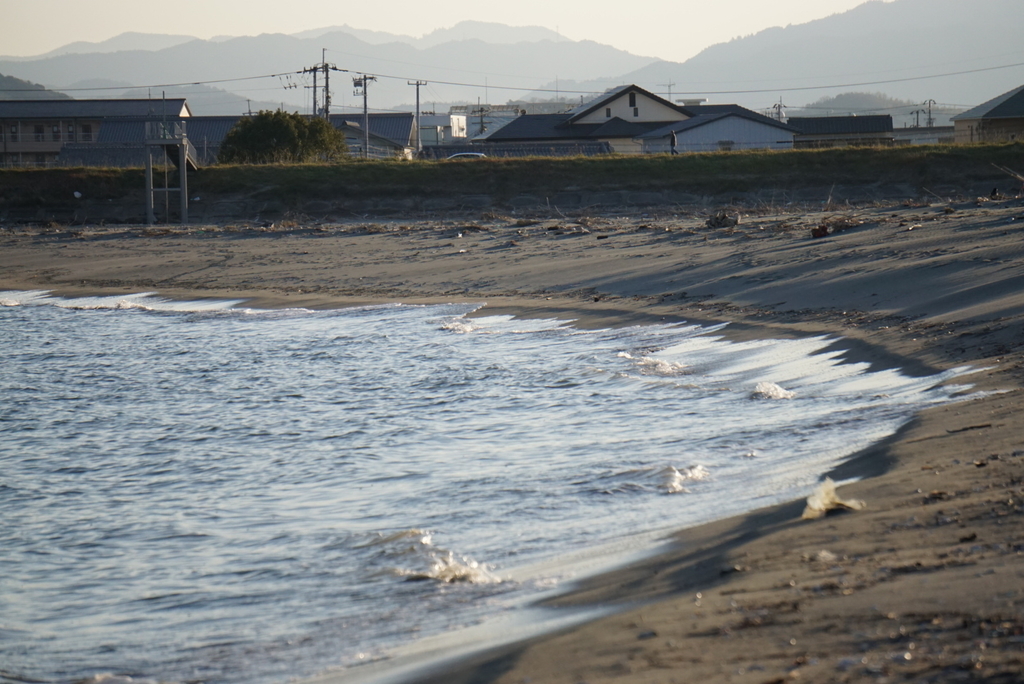 f:id:ka-ruojisan:20190122155652j:plain f:id:ka-ruojisan:20190122155652j:plain