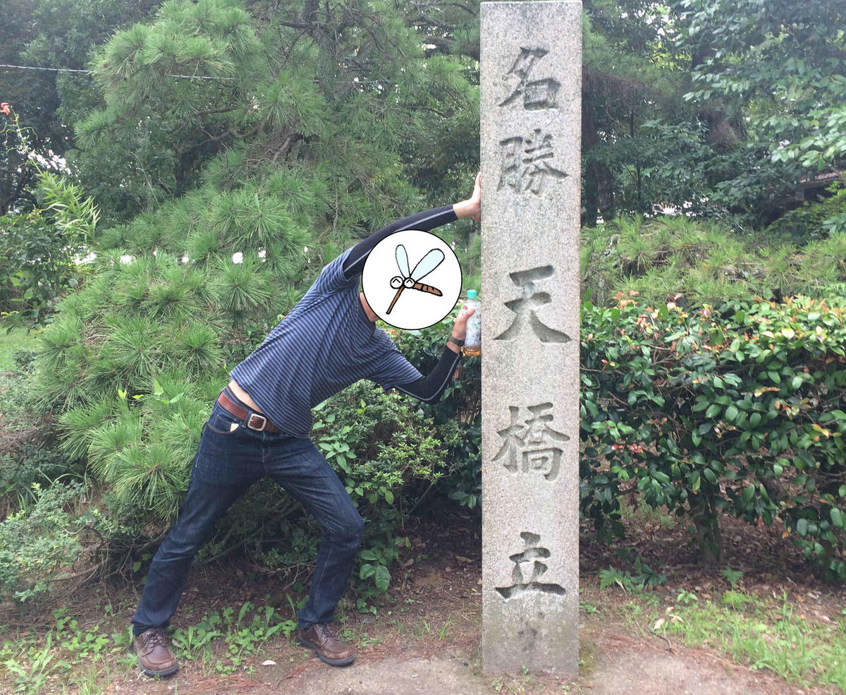 f:id:ka-tonbo:20210521134939j:plain