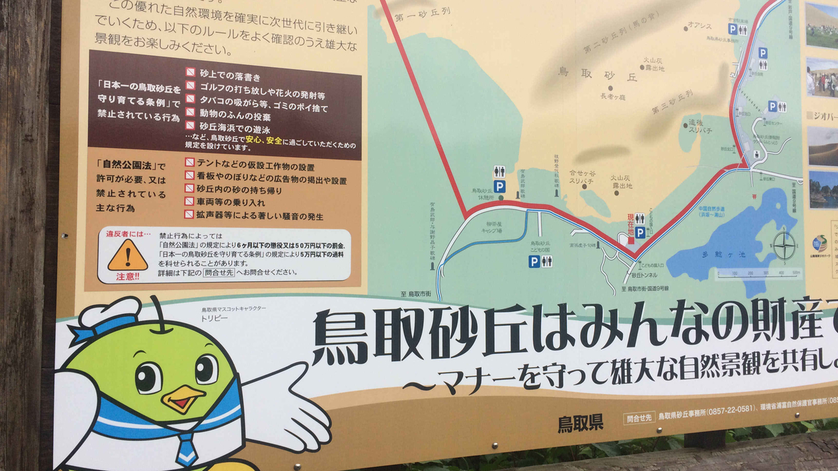 f:id:ka-tonbo:20210521135902j:plain