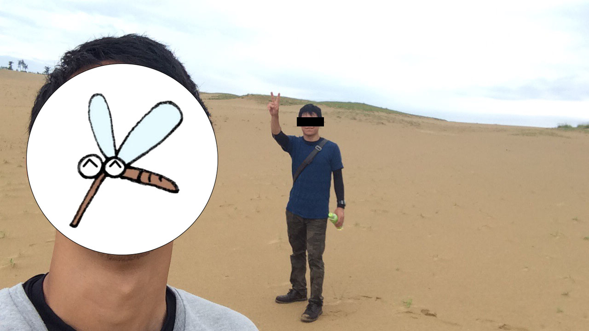 f:id:ka-tonbo:20210521135949j:plain