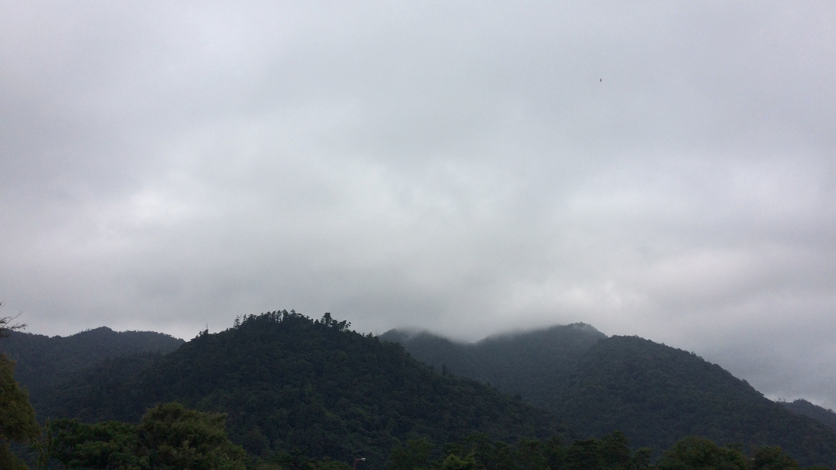 f:id:ka-tonbo:20210530093923j:plain