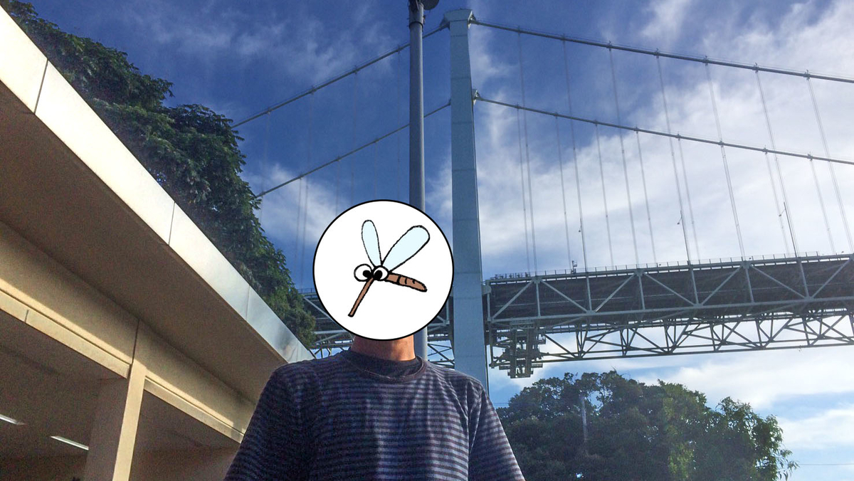 f:id:ka-tonbo:20210530094240j:plain