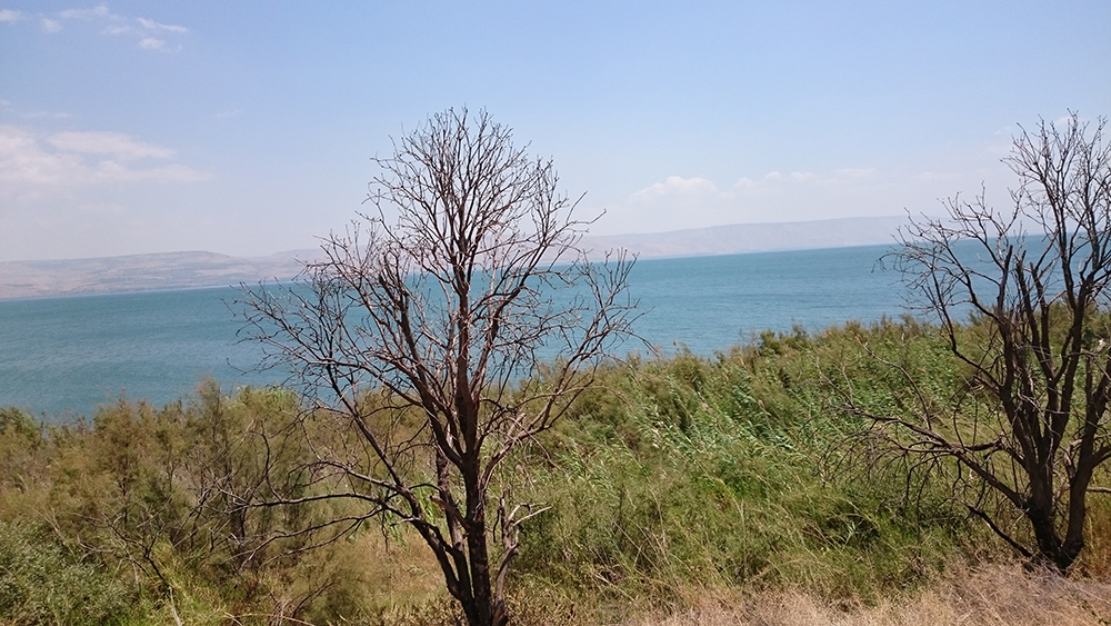 f:id:ka2a9:20160522223151j:plain f:id:ka2a9:20160522223151j:plain