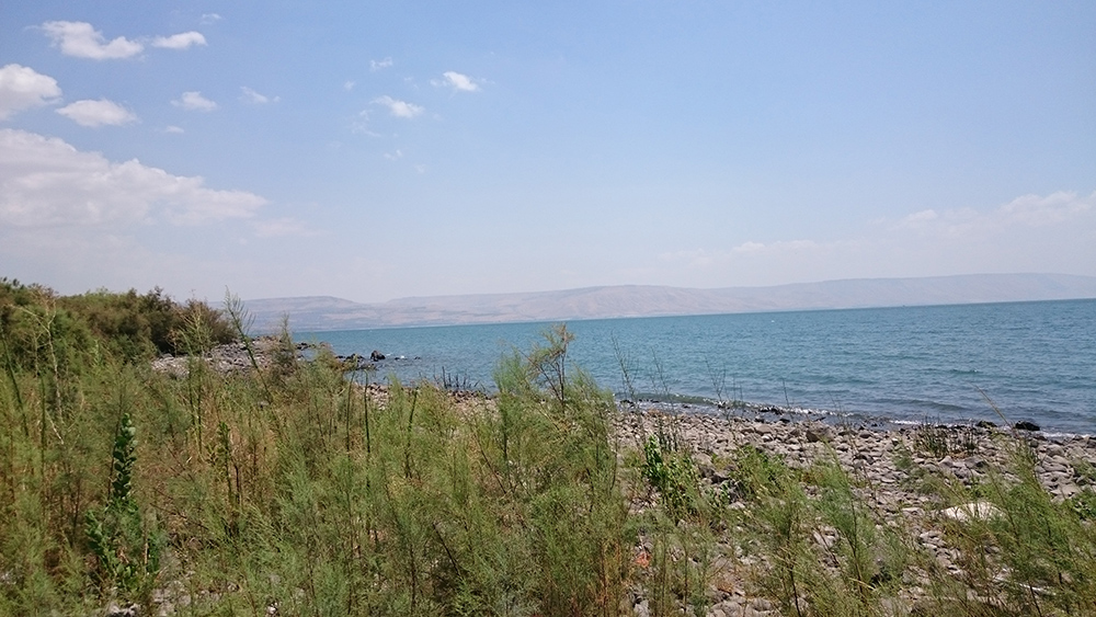 f:id:ka2a9:20160522223159j:plain f:id:ka2a9:20160522223159j:plain