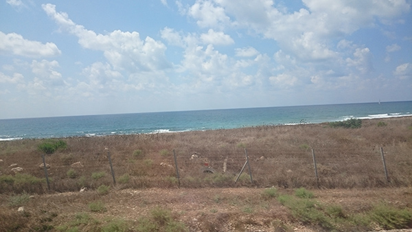 f:id:ka2a9:20160604214941j:plain f:id:ka2a9:20160604214941j:plain