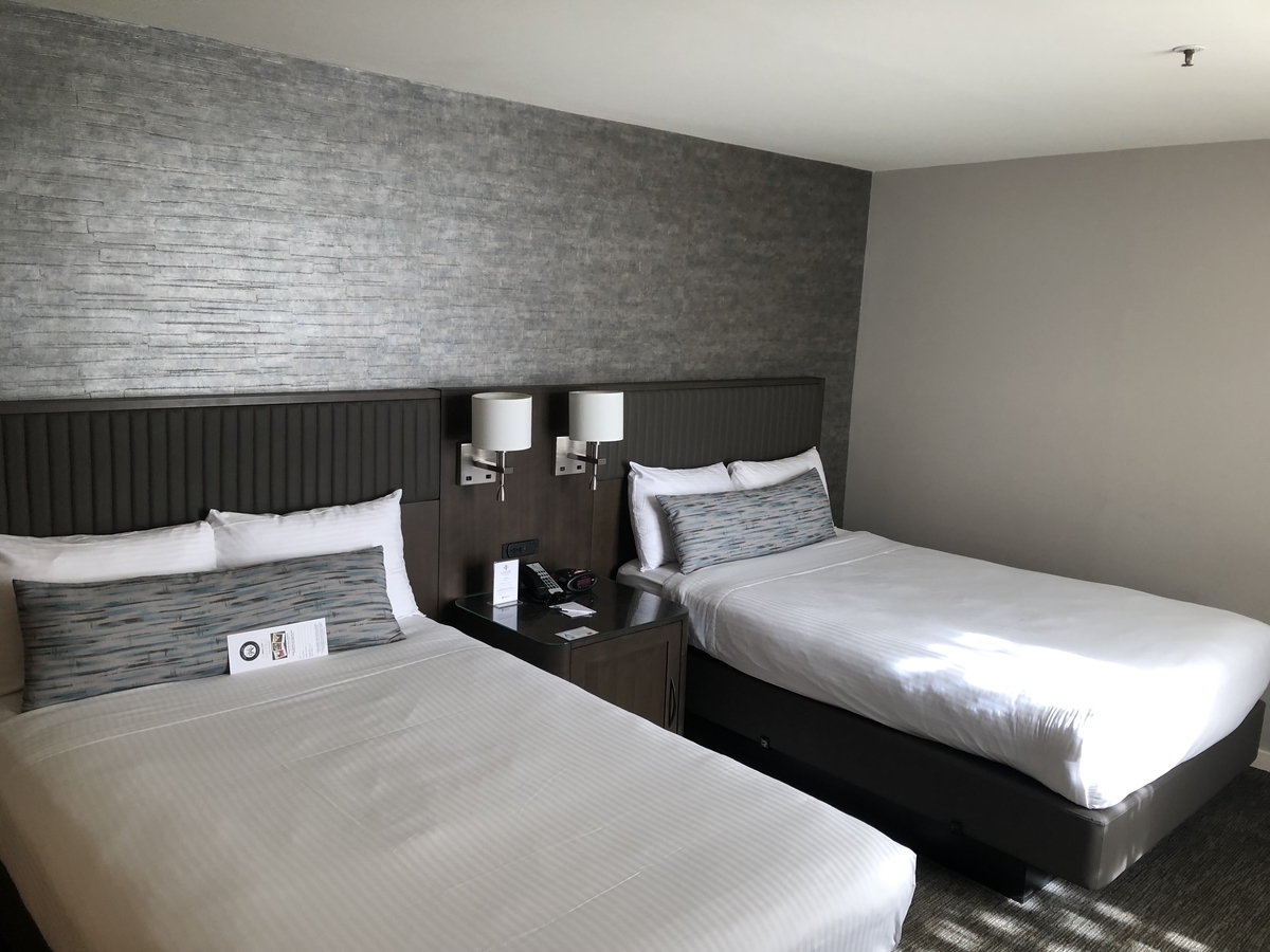 f:id:ka2jun8:20191117181718j:plain f:id:ka2jun8:20191117181718j:plain