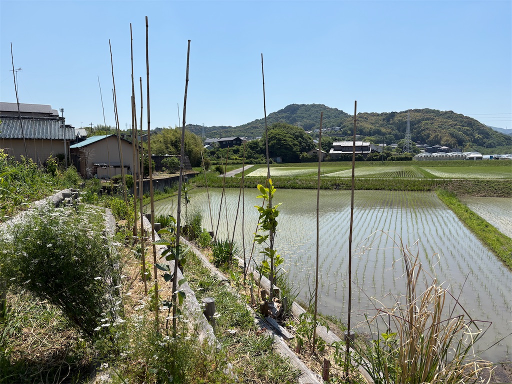 f:id:ka4ka2:20260517212617j:image f:id:ka4ka2:20260517212617j:image