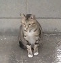 20060608203032