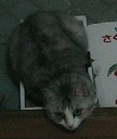 20060705205837