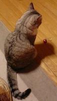 20071212151514