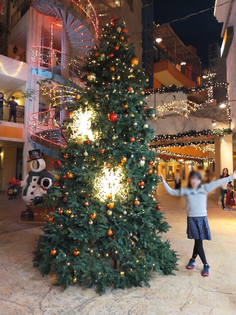 f:id:kaaaco:20191228155900j:plain