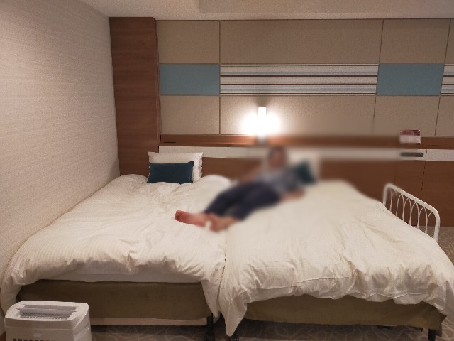 f:id:kaaaco:20200102113523j:plain