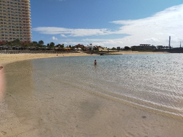 f:id:kaaaco:20200102114902j:plain