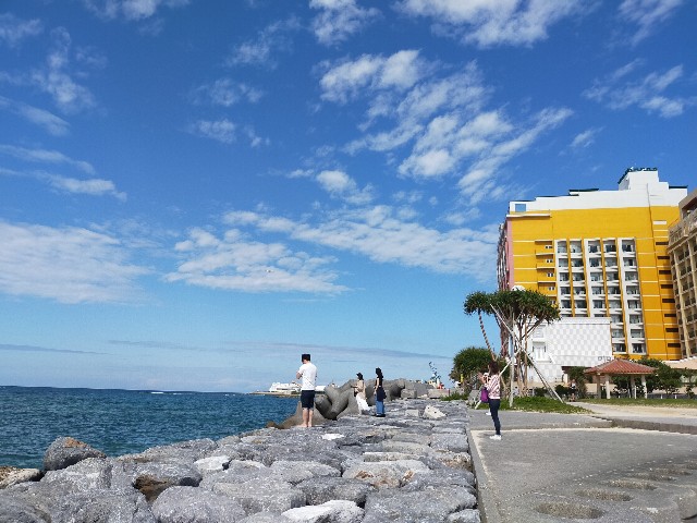 f:id:kaaaco:20200102114942j:plain