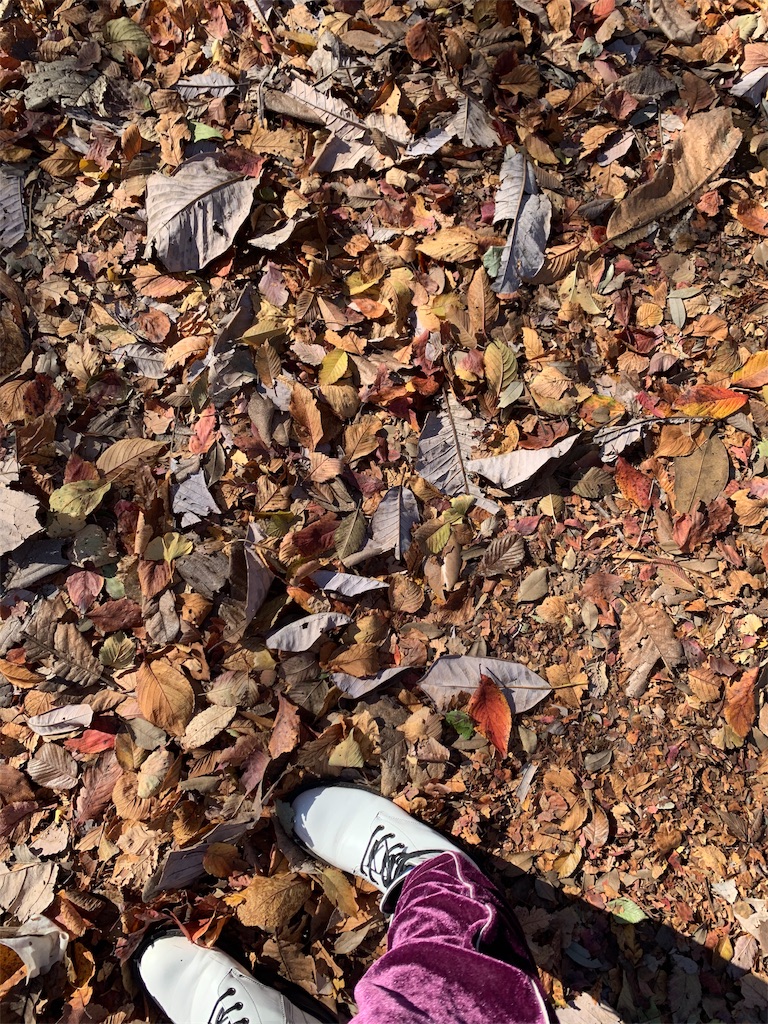 f:id:kaaamadax:20201124120011j:image