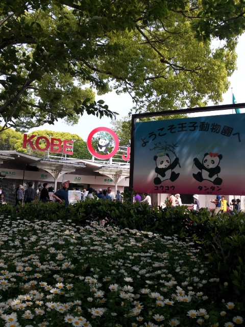 f:id:kaaksan:20140503090551j:image:w360