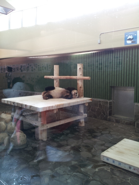 f:id:kaaksan:20140503105134j:image:w360