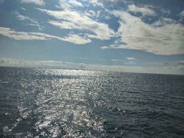 f:id:kaalrabbi:20190905220025j:image