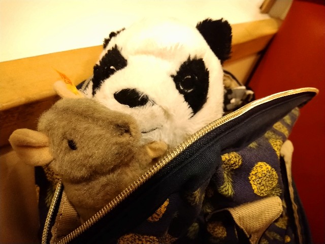 f:id:kaalrabbi:20190905220127j:image