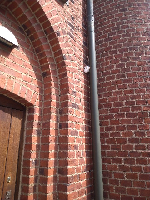 f:id:kaalrabbi:20210610145127j:image