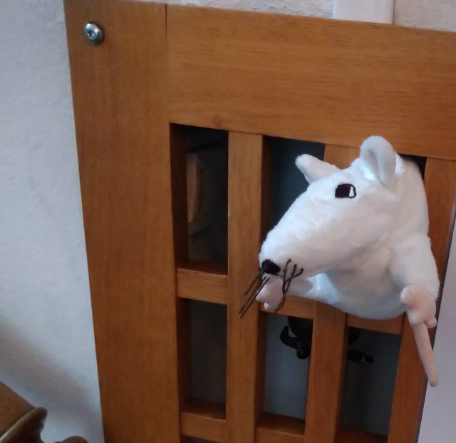 f:id:kaalrabbi:20210610145650j:image