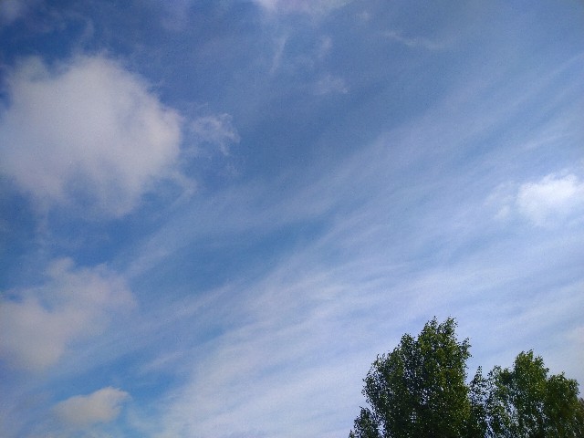 f:id:kaalrabbi:20210610160402j:image