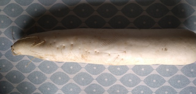 f:id:kaalrabbi:20210610161223j:image