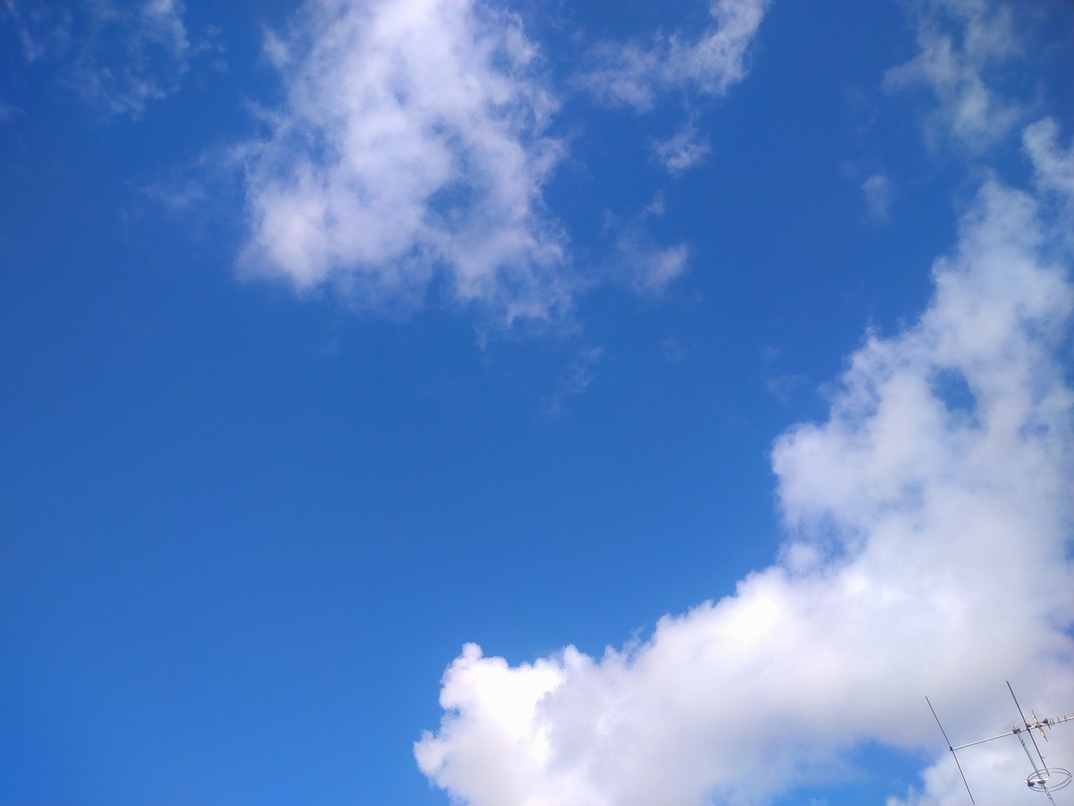 f:id:kaalrabbi:20210822041147j:plain