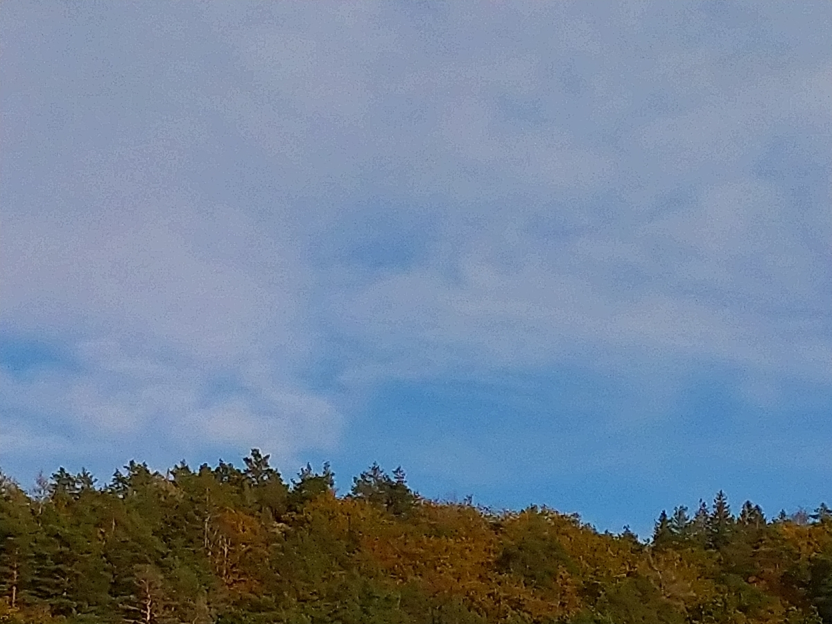 f:id:kaalrabbi:20211016015348j:plain