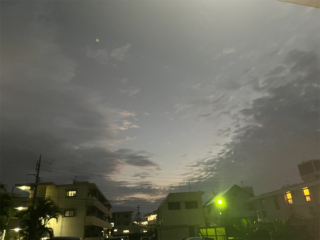 f:id:kaanikki:20250228062346j:image