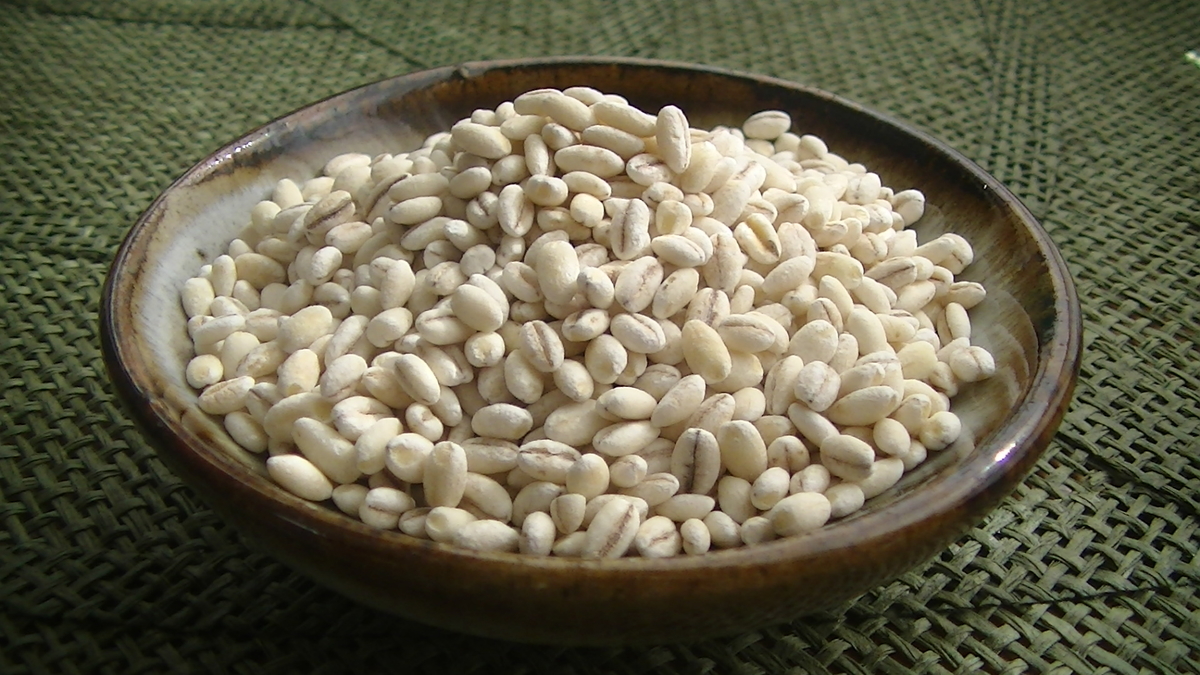 f:id:kaatyann:20200212153412j:plain f:id:kaatyann:20200212153412j:plain