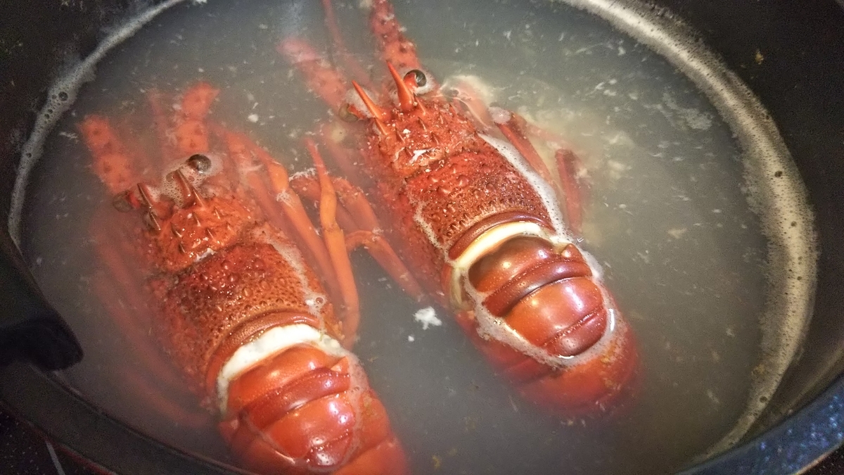 f:id:kaatyann:20200309193000j:plain f:id:kaatyann:20200309193000j:plain