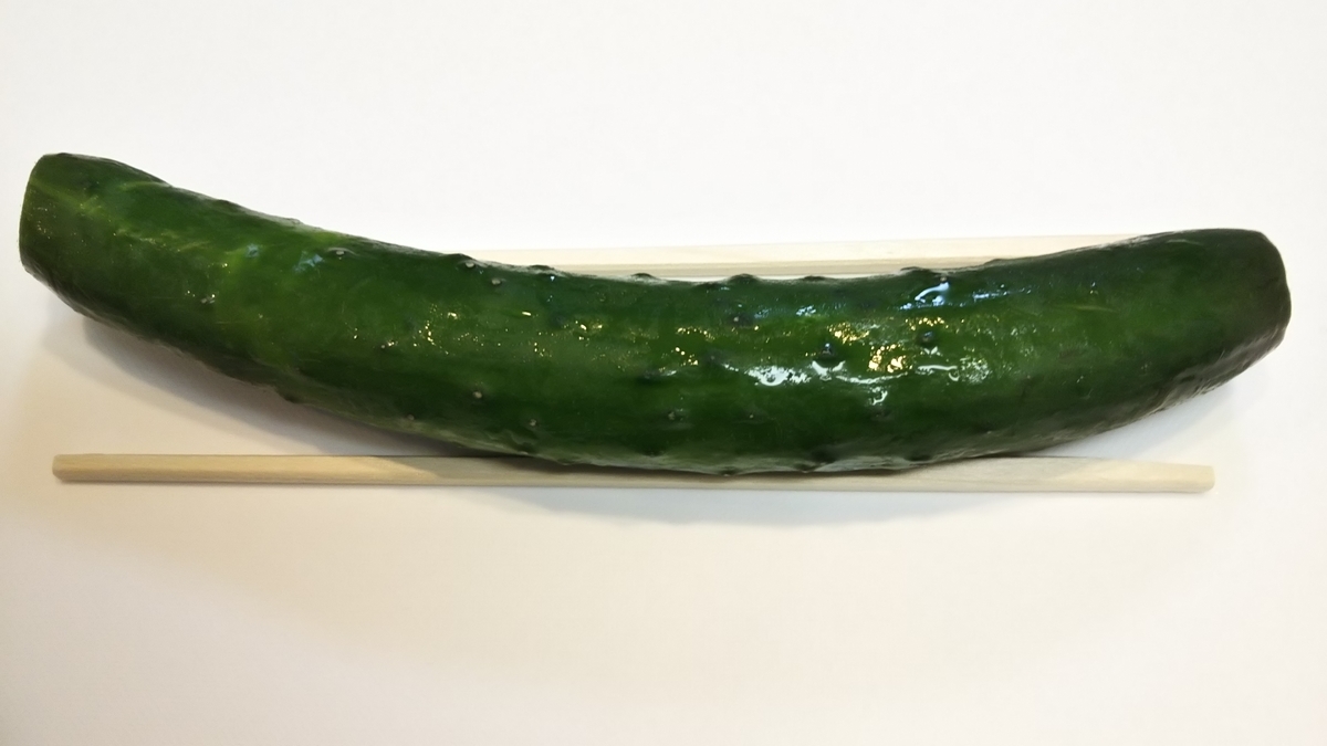 f:id:kaatyann:20200418175358j:plain f:id:kaatyann:20200418175358j:plain