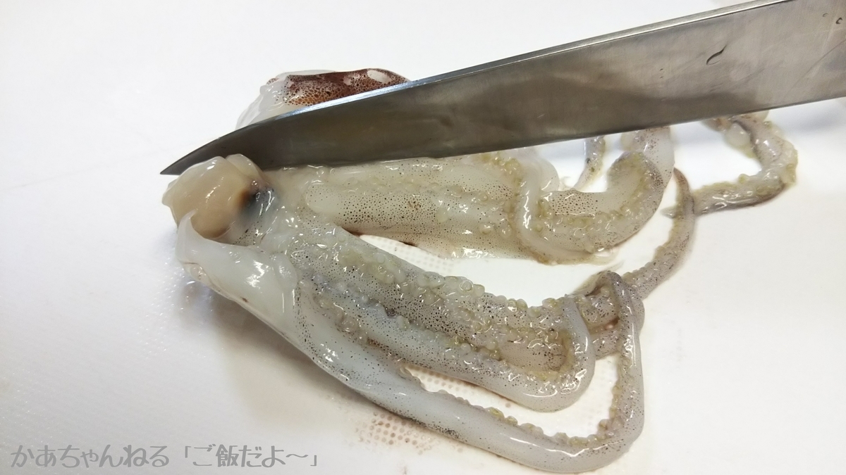 f:id:kaatyann:20200614120752j:plain f:id:kaatyann:20200614120752j:plain