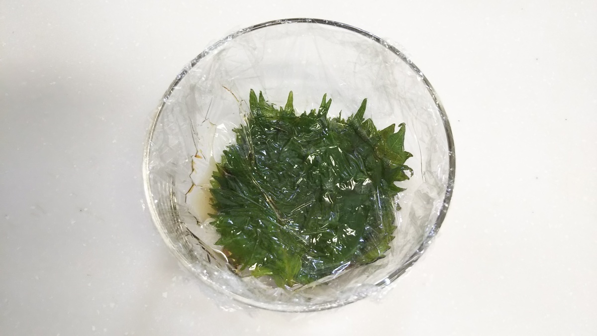 f:id:kaatyann:20210822121130j:plain