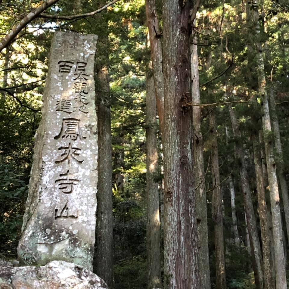 f:id:kaayanchie:20191224171642j:plain f:id:kaayanchie:20191224171642j:plain