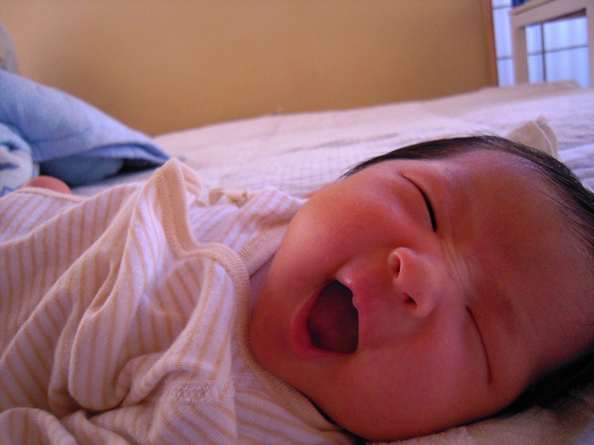 f:id:kab-log:20090824081221j:plain