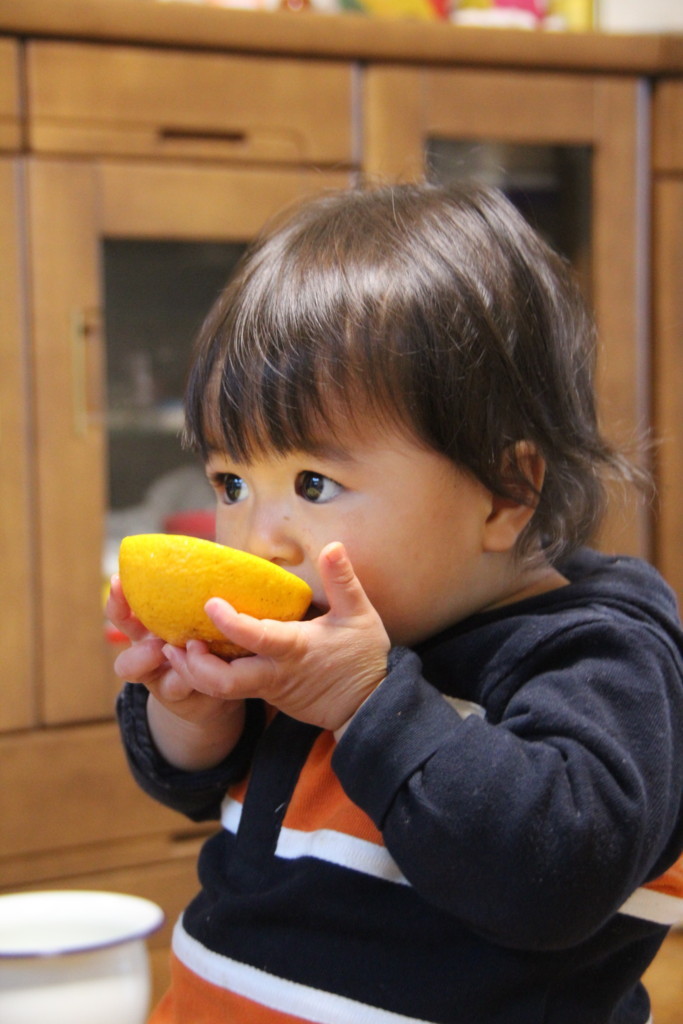 f:id:kab-log:20121231171553j:plain