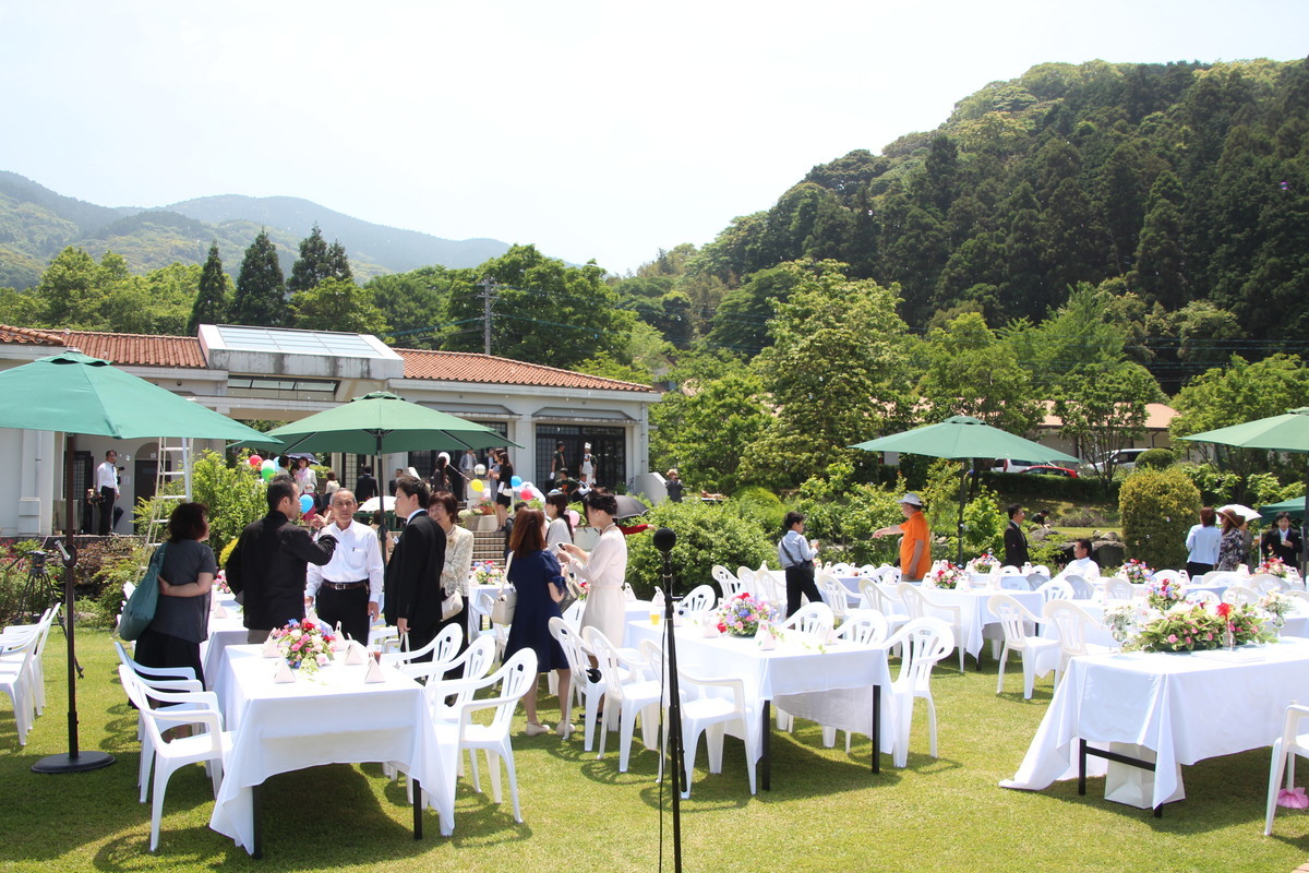 f:id:kab-log:20150517125321j:plain