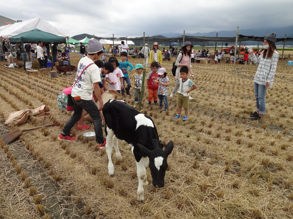 f:id:kab-log:20150926112742j:plain